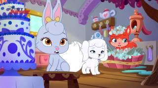 Whisker Haven Tales - A Dreamy-ful Birthday - Official Disney Junior UK HD