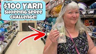 $100 Yarn Shopping Spree Challenge at Michaels - Let's see how good I done shopping for yarn !!