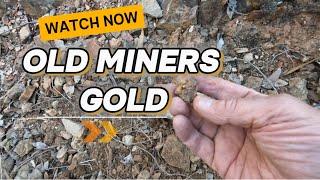 Aussie Gold Hunting for BIG nuggets in Waanyaar's Australia's Golden Triangle with Minelabs GPZ7000