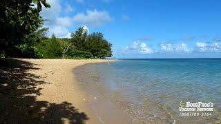 Anini Beach Snorkeling with Boss Frog's