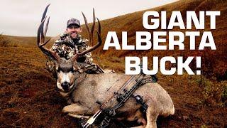 HIGH PLAINS BUCK | AN ARCHERY MULE DEER FILM