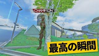 【最高の瞬間30選】木になったと信じ込めば優勝できますｗ神業面白プレイ最高の瞬間！【APEX/エーペックス】