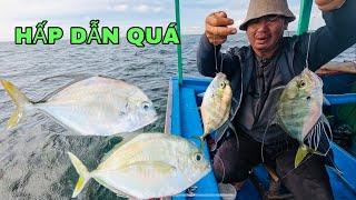 516) ĐÃ QUÁ, 2 CON CÁ BÈ QUÁT ĂN CÂU CÙNG  MỘT LÚC.