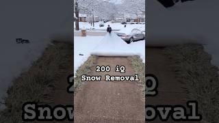 200 IQ snow removal 