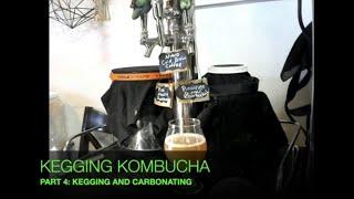 Kegging Kombucha | Part Four: Kegging / Carbonation