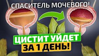 Даже по ночам не бегаю в туалет! От частого мочеиспускания и от цистита спасает...