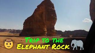 Trip to Elephant Rock|Doc Avonasac