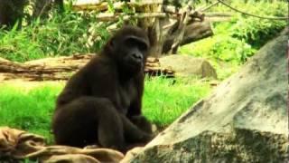 Zoopark Leipzig - Impressionen eines schönen Tages im Zoo Leipzig