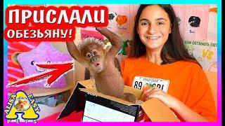 НАМ ПРИСЛАЛИ Обезьяну / НОВЫЙ ПИТОМЕЦ? / Распаковка посылок от подписчиков / Alisa Easy Pets