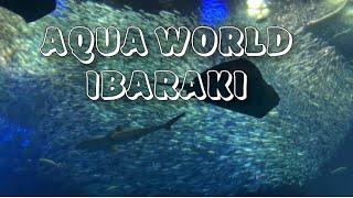 OARAI AQUARIUM IBARAKI with Relaxing Sounds [ReynzTV]