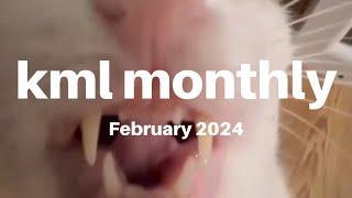 kml monthly meme compilation - February 2024 (+ music recommendations)