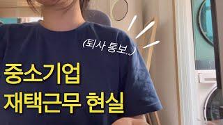 재택근무 브이로그 | 팀원과 싸운 썰 | 13년차 중소기업 직장인