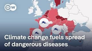 How climate change and the increase of climate disasters fuel the spread of diseases | DW News