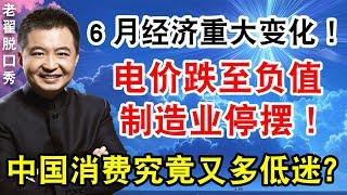 6月经济重大变化！电价跌至负值，制造业停摆！中国消费究竟又多低迷？#翟山鹰 #老翟脱口秀