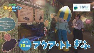 ぎふ県政ほっとライン「『清流の国ぎふ』文化祭2024～世界淡水魚園水族館『アクア・トト ぎふ』開館20周年～」