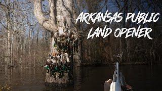 Beau Hunting Arkansas Public Land (Opening Day Race) Limits Of Green In The Trees