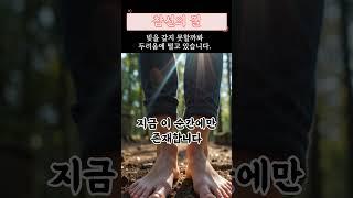 "파산 직전, 이 상인이 부처님께 배운 빚 해방의 비밀"#빚탈출 #인생역전 #돈걱정끝 #파산위기 #빚쟁이#두려움극복  #빚고민해결 #경제불안종결 #빚독촉 #빚때문에우울 #마음수행