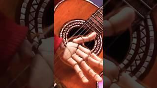 The guitar playing in COCO...