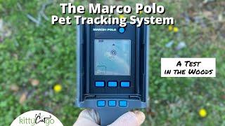 The Marco Polo Pet Tracking System Review: A Test in the Woods