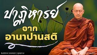 ปาฏิหารย์ จาก อานาปานสติ! #พุทธวจน | พระอาจารย์คึกฤทธิ์ โสตฺถิผโล