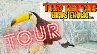 Exotic Bird Store Tour