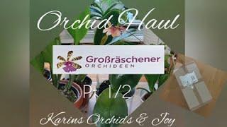 Großräschener Orchid Haul Pt 1/2