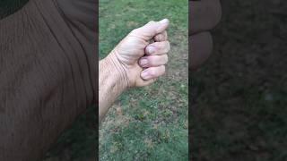 Awesome Treasure Found Metal Detecting #shorts #short #viral #metaldetecting #equinox800