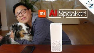 Xiaomi MI Ai Speaker Review (English): The "Xiao Ai" Predecessor