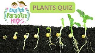 Plants Quiz