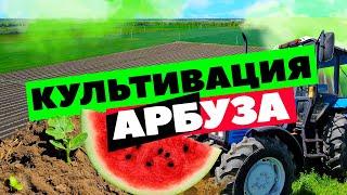 Культивация  26 05 22