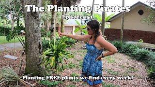 Planting FREE Plants we find Weekly! | The Planting Pirates Episode #51