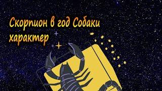 Скорпион в год Собаки - характер