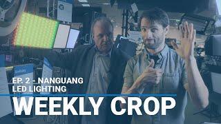 NanGuang LED Lighting - Weekly Crop: Ep. 2