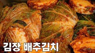 숙성까지 성공! 김장 김치 맛있게 담그는 법! 배추김치 20kg 완벽한 양념 만들기