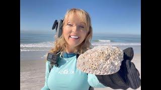 Treasure Island Beach Metal Detecting Adventure