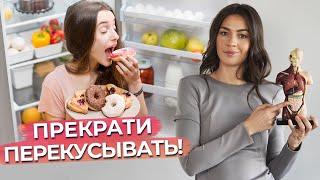 Почему перекус является плохой привычкой? / Перекусы: польза или вред здоровью?