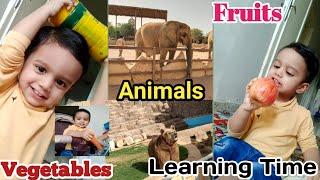 Learn animals | fruits | vegetables  name with pictures