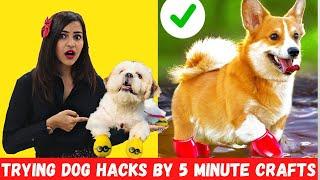 Trying Cute PET HACKS by 5 MINUTE CRAFTS to Make your Life Easier 