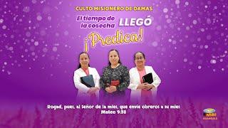 SERVICIO MISIONERO DE DAMAS