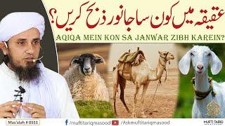 Aqiqa mein Kon sa Janwar Zibh karein? | Solve Your Problems | Ask Mufti Tariq Masood