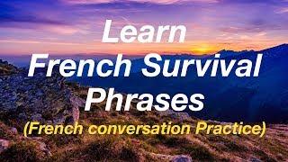 Learn 230 French Survival Phrases (with subtitles)