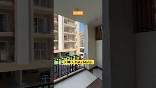 3 Bhk Luxury Flats For Sale In Mohali | 3 bhk flat in Mohali Chandigarh On Highway | #shorts #short