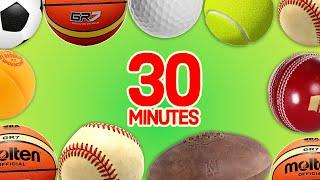 30 Minutes Learn SPORT BALLS in English FOR KIDS | English for Kids Vocabulary | Easy English