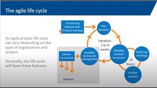 What is Agile Project Management? A Deep Dive into Agile PM