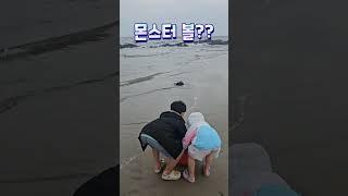 드뎌 찾았다!! 몬스터 볼!! ㅋㅋㅋ#포켓몬스터