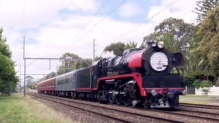 R707 - Steam Train in Melbourne - PoathTV Australian Trains & Railways