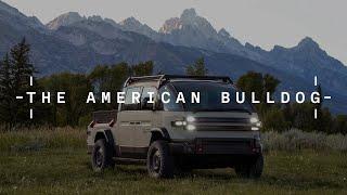 The American Bulldog