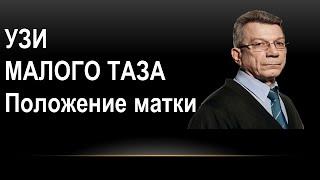 УЗИ органов малого таза: положения матки