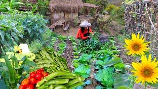 Gardening and Harvesting some Vegetables in my Garden | A Peaceful life in the Province Philippines