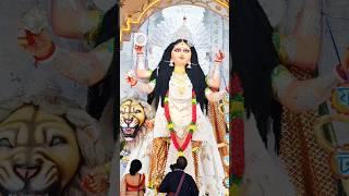 Fatakgora Jagaddhatri.. #chandannagar #jagaddhatri #shorts #famous #pujo #viralvideo #mankundu #like